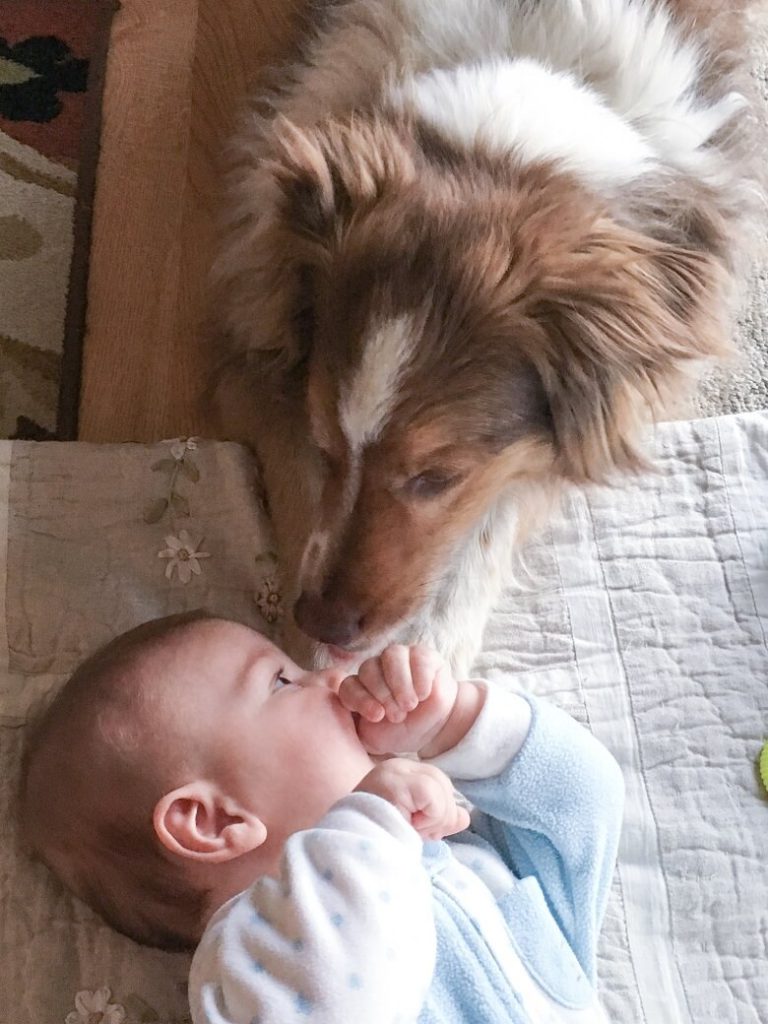 A baby laying down looking at a dog who is laying down next to the baby and sniffing the baby's nose.