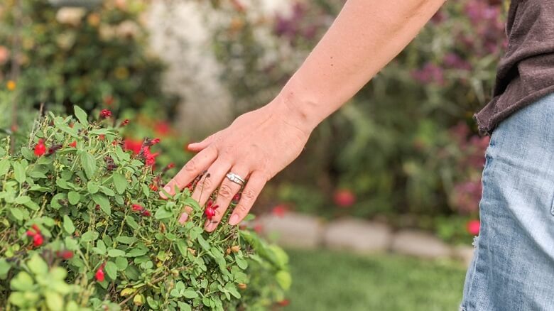 A woman's hand gently touching flowers as she practices mindfulness in the garden