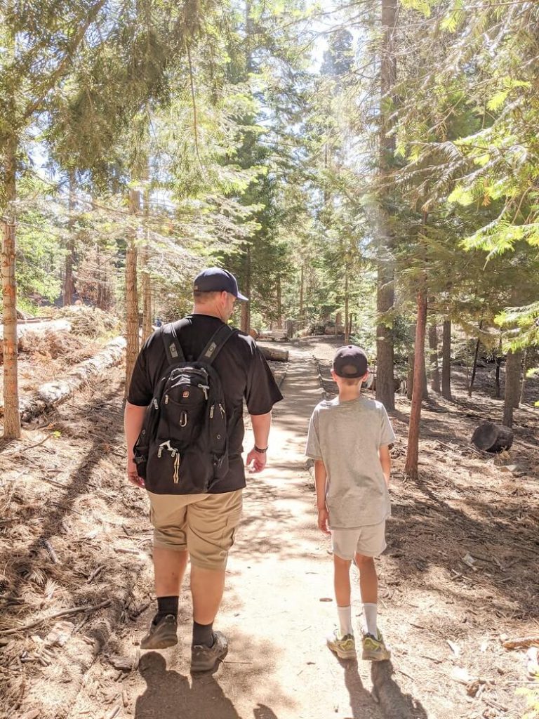 A father and son hiking on a trail between tall trees.