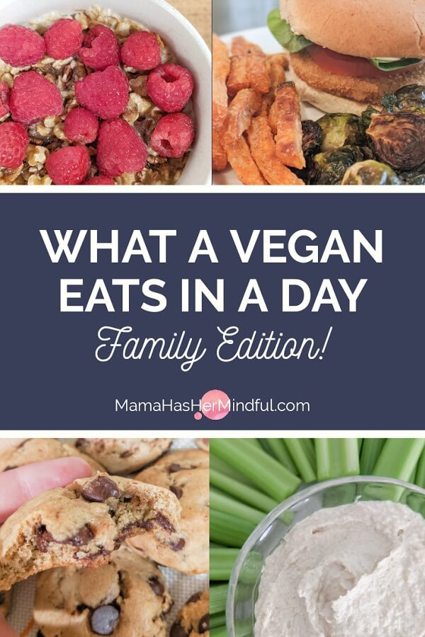Pin for Pinterest that reads What a Vegan Eats in a Day Family Edition and has 4 photos on it. One with oatmeal and fruit, one with a chocolate chip cookie, one with hummus and celery and the last with a chickenless sandwich, sweet potato fries and Brussel sprouts