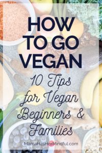 Pin for Pinterest that reads How to Go Vegan - 10 Times for Vegan Beginners 7 Families that has a photo in the background of plant-based foods such as lentils, apples, green beans, kale, nuts, flaxseed, chia seeds, butternut squash, zucchini, blueberries, lemons, limes, sweet potatoes, ginger, oats, bananas, and avocados.