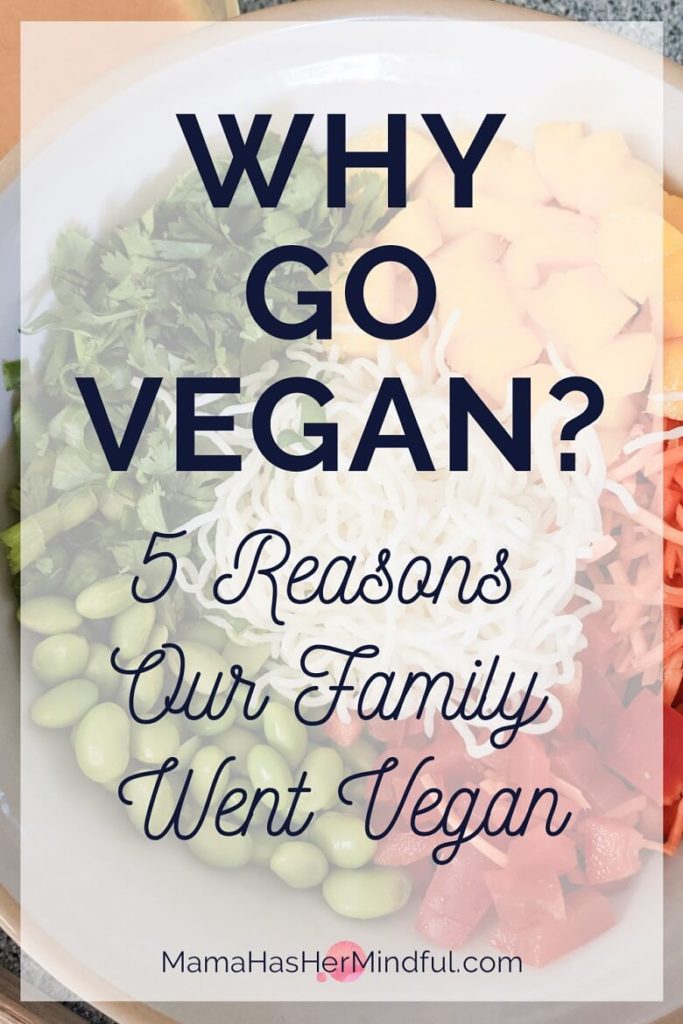 Pin for Pinterest that reads Why Go Vegan? 5 Reasons Our Family Went Vegan and has a photo of a bowl of noodles, cilantro, edamame, mango, carrots and tomatoes in the background.