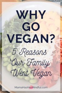 Pin for Pinterest that reads Why Go Vegan? 5 Reasons Our Family Went Vegan and has a photo of a bowl of noodles, cilantro, edamame, mango, carrots and tomatoes in the background.