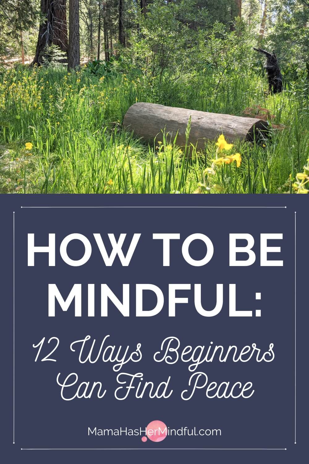 How to Be Mindful Today: A Guide for Beginners to Find Peace