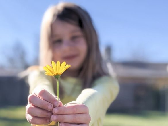 A young girl offering a yellow flower with two hands stretched out in front of her to show a random act of kindness.