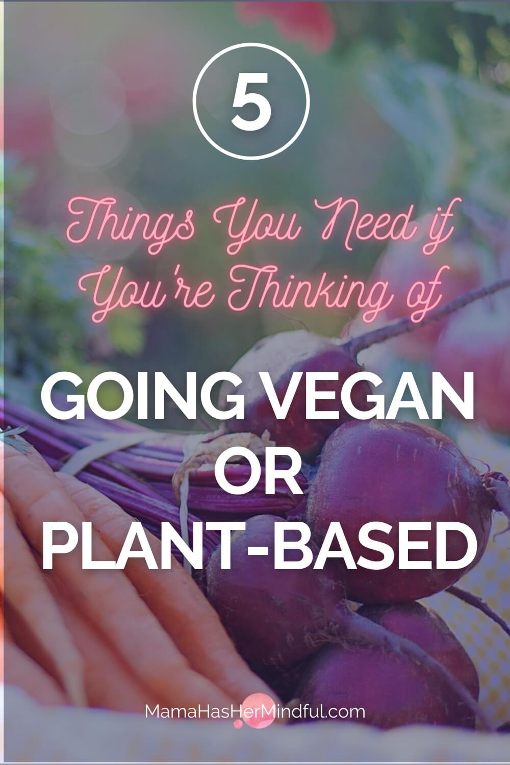 5 Resources You Need Before Going Vegan (or Plant-Based) + It\'s Our 2nd Veganniversary