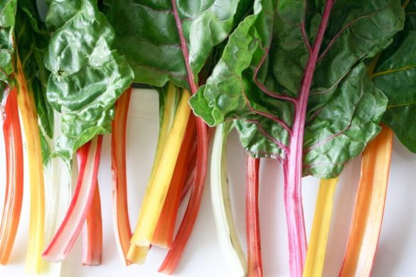 Cut stems of chard of various colors with large leaves on top.