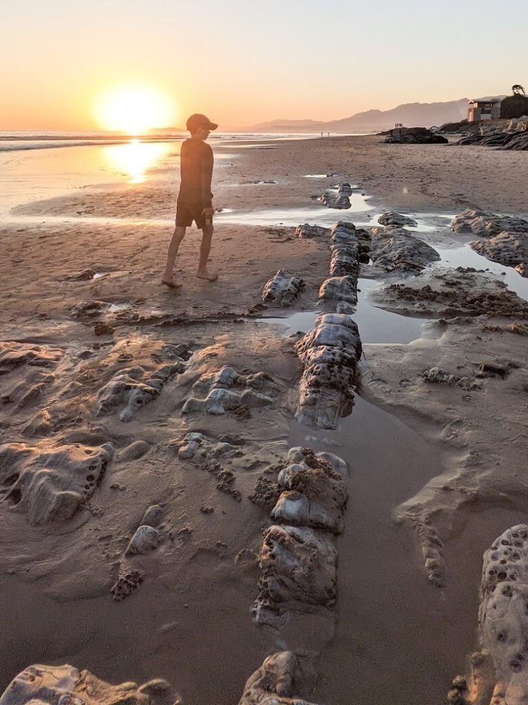 A photo of a child walking along the beach at sunset to show children connect with Mother Earth