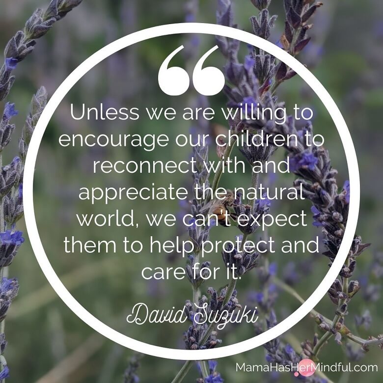 Quote by David Suzuki that reads "Unless we are willing to encourage our children to reconnect with and appreciate the natural world, we can't expect them to help protect and care for it. There is a photo of lavender in the background.