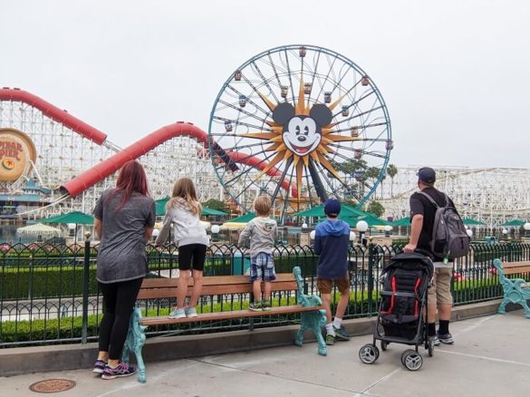 A vegan family of five with their backs to the camera looking at Disney California Adventure