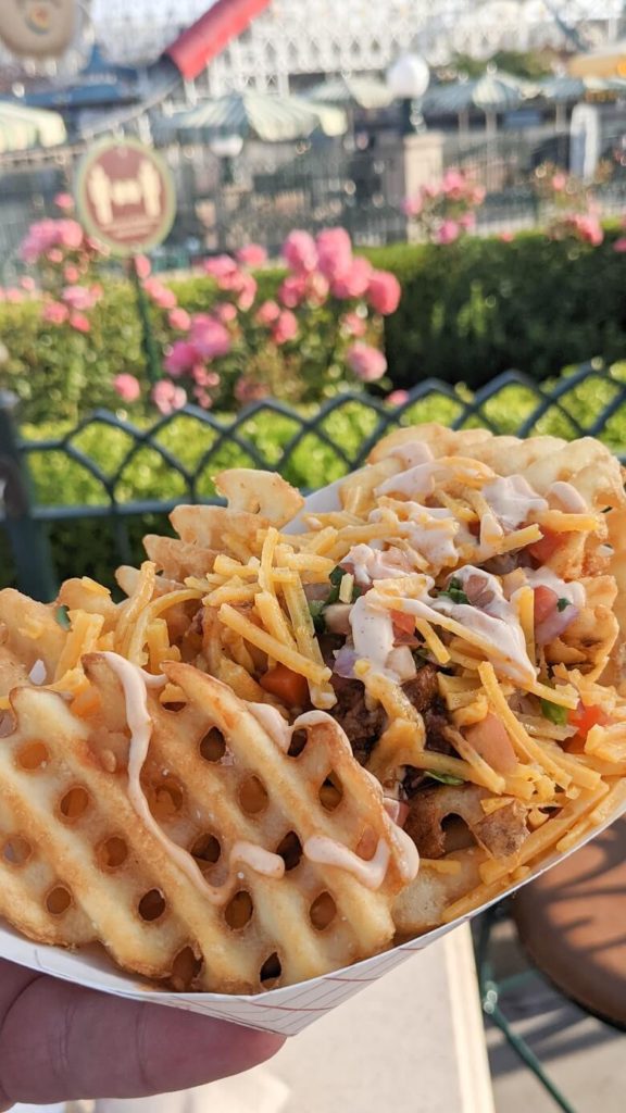 Waffle fries topped with vegan toppings in a paper tray at DCA.