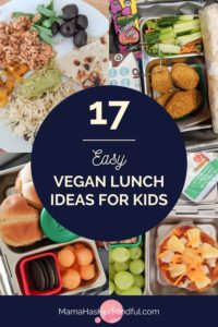 A collage of vegan lunches for school behind the text 17 Easy Vegan Lunches for Kids and the URL Mama Has Her Mindful dot com