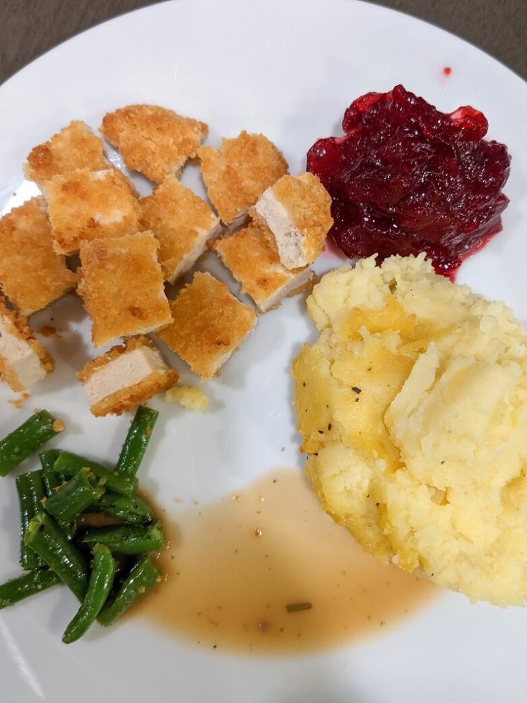 A kid's plate at a holiday dinner with green beans, mashed potatoes, cranberries and cut up plant-based turkey.