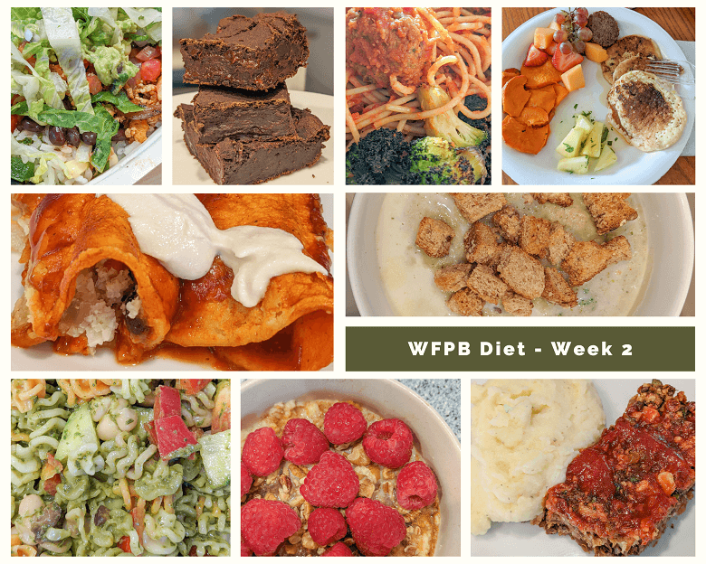 A collage of photos of whole-food, plant-based meals for week 2. From top left to bottom right: taco bowl; brownies; pasta with lentil balls and broccoli; pancakes, sweet potatoes, pineapple and cucumber salsa, fruit, and vegan sausage; enchiladas; creamy broccoli chowder; pesto pasta; oatmeal; and lentil loaf and mashed potatoes